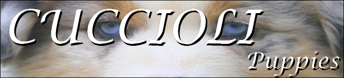 litters title