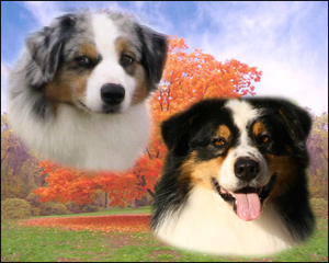 Bill & Payton