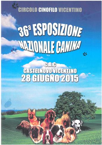 catalogo Vicenza 2015