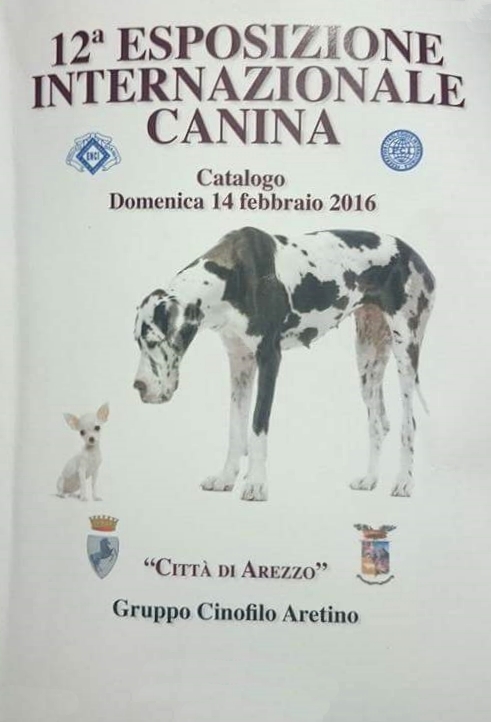 catalogo Arezzo1