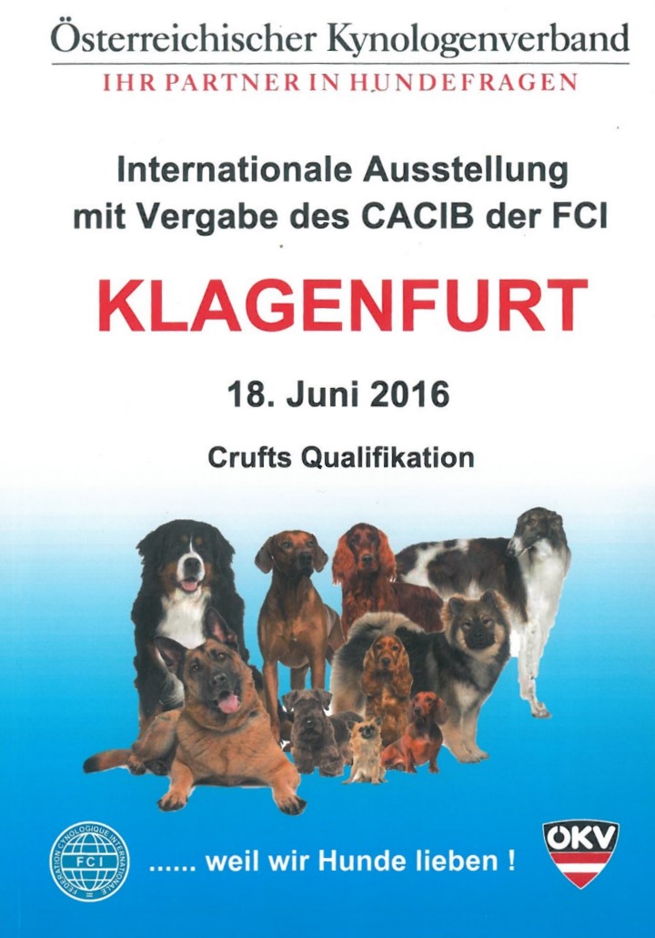 catalogo Klagenfurt 1 2016