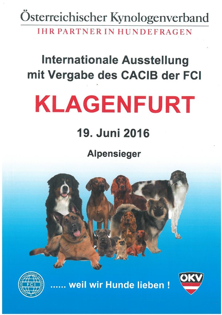 catalogo Klagenfurt 2 2016