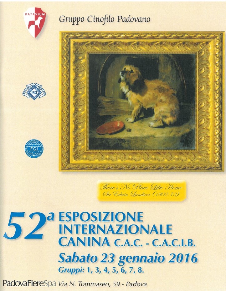 catalogo Padova 2016