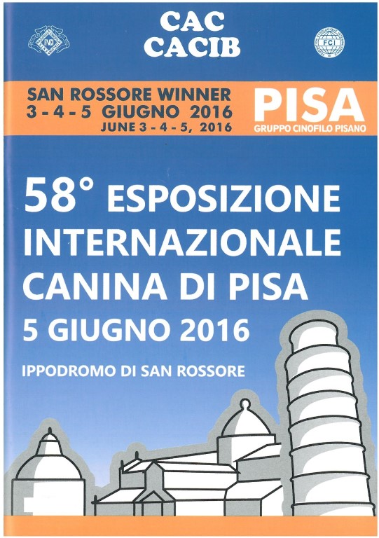 catalogo Pisa