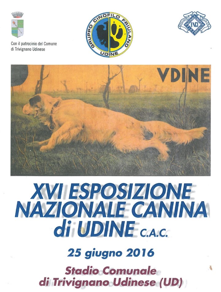 catalogo Udine