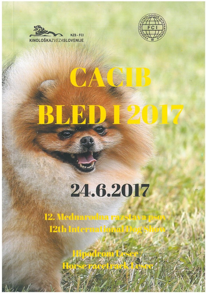 catalogo Bled 2017