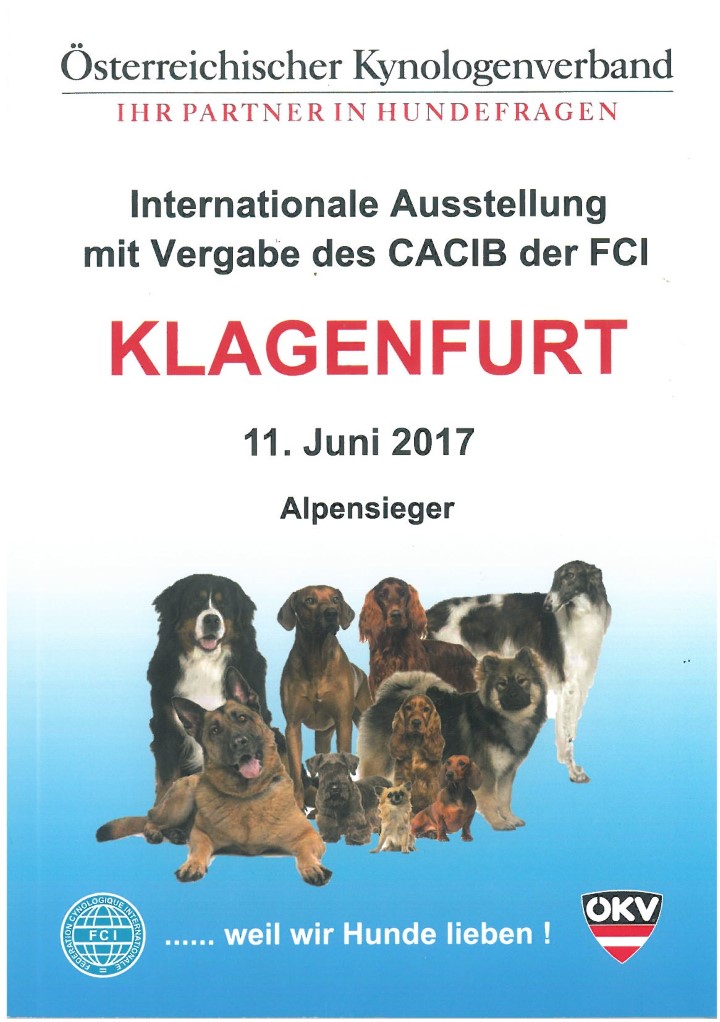 catalogo Klagenfurt  2017