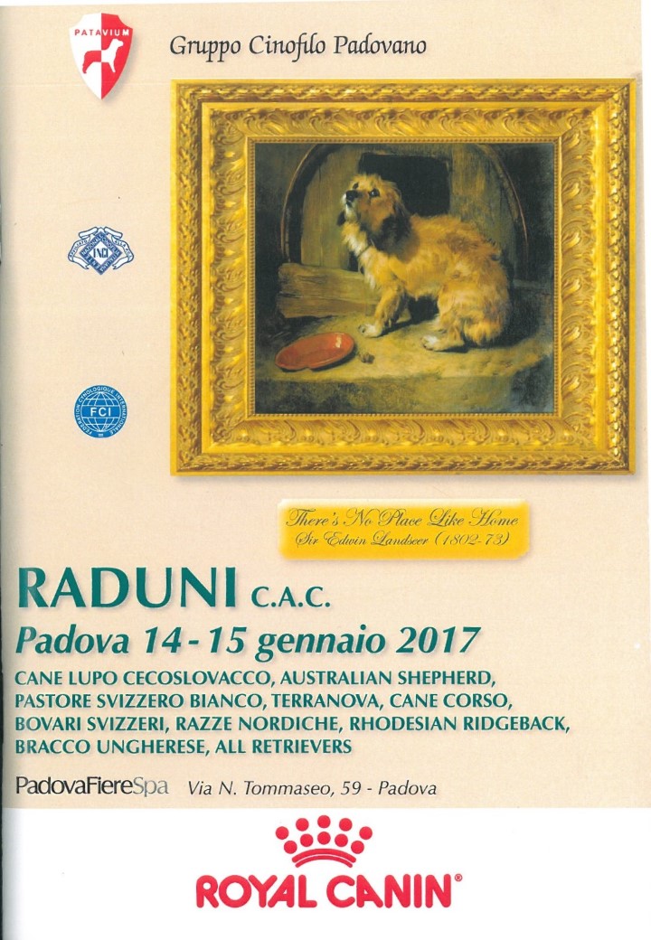 catalogo Padova 2017