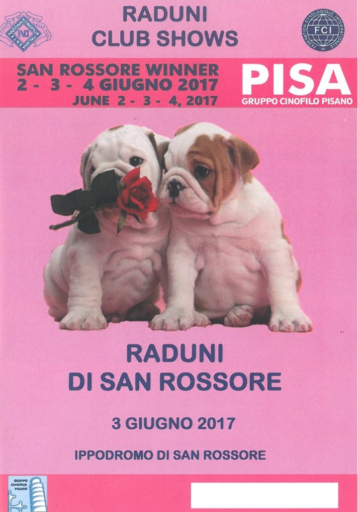 catalogo Pisa  2017